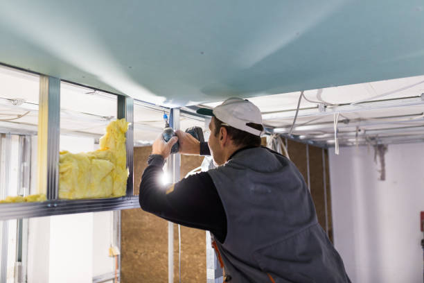 Best Insulation Inspection Services  in Lake Stickney, WA